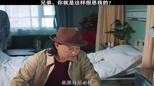 兄弟报恩视频,感人至深的故事视频回顾