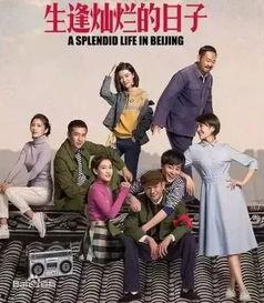 生缝灿烂的日子免费观看,免费畅享生缝灿烂的日子