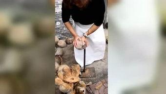 91椰子哥系列在线播放,网络热门搞笑短视频的精彩回顾