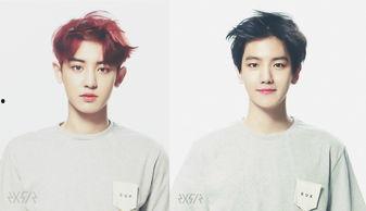 圈内人爆料灿白关系,圈内人爆料背后的真实情感纠葛