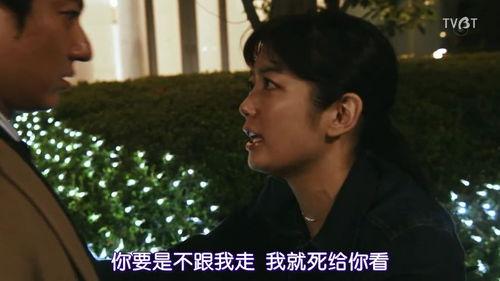 种子日本剧情,一场跨越时空的奇幻之旅