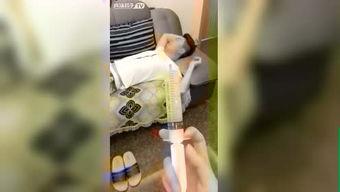 肚子超疼的视频,揭秘疼痛背后的秘密