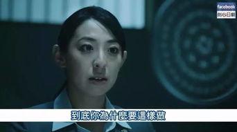 啪啪的视频日本,激情瞬间与情感纠葛