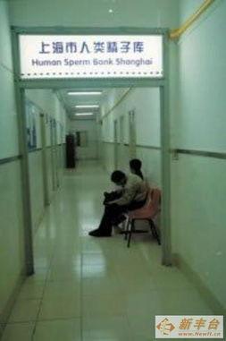 日本人捐献精子照片,传递生命的种子，照亮未来希望之光