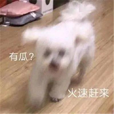 娱乐圈吃瓜微信聊天,幕后八卦大曝光